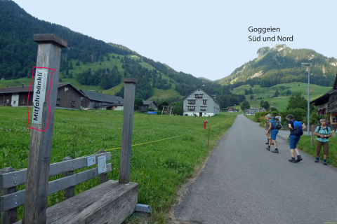 2025-07-01-SAC-RS-Sen-Goggeien-015_bearbeitet-3