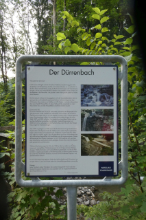 2025-07-01-SAC-RS-Sen-Goggeien-020