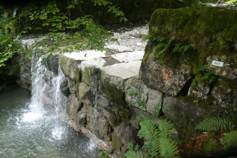 2025-07-01-SAC-RS-Sen-Goggeien-028