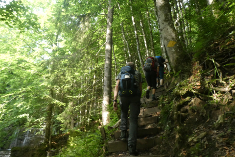 2025-07-01-SAC-RS-Sen-Goggeien-043
