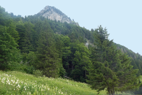 2025-07-01-SAC-RS-Sen-Goggeien-063_bearbeitet-1