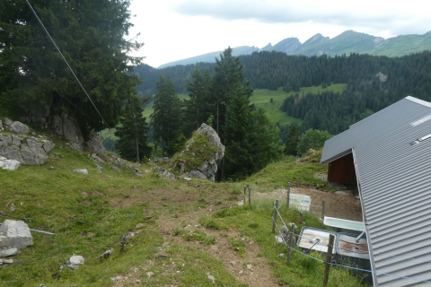 2025-07-01-SAC-RS-Sen-Goggeien-080