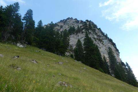 2025-07-01-SAC-RS-Sen-Goggeien-083
