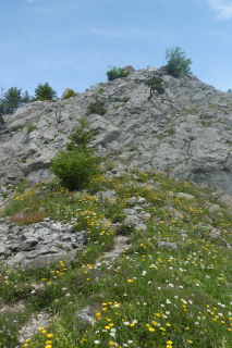 2025-07-01-SAC-RS-Sen-Goggeien-101