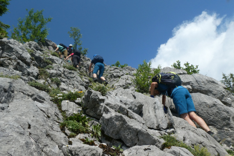 2025-07-01-SAC-RS-Sen-Goggeien-120