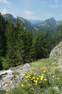 2025-07-01-SAC-RS-Sen-Goggeien-122