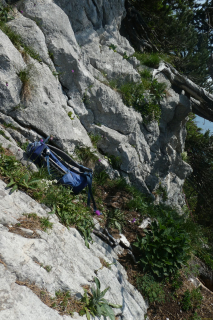2025-07-01-SAC-RS-Sen-Goggeien-132