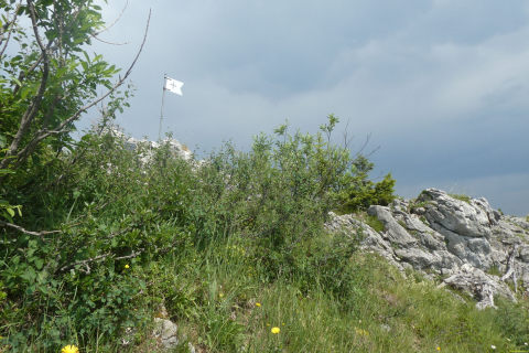 2025-07-01-SAC-RS-Sen-Goggeien-133