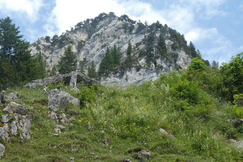 2025-07-01-SAC-RS-Sen-Goggeien-155