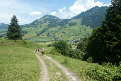 2025-07-01-SAC-RS-Sen-Goggeien-161