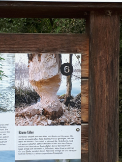IMG-20250917-WA0010