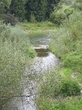 IMG-20250917-WA0009