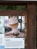 IMG-20250917-WA0010