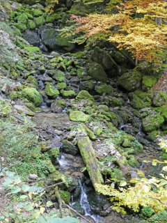 2025-10-14-SAC-RS-Furggenhoehle-010_bearbeitet-1