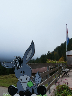 2025-10-14-SAC-RS-Furggenhoehle-012_bearbeitet-1