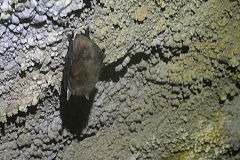 2024-11-03-Furggenhoehle-058_bearbeitet-1