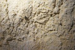 2024-11-03-Furggenhoehle-065_bearbeitet-1