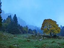 2025-10-14-SAC-RS-Furggenhoehle-022_bearbeitet-1