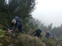 2025-10-14-SAC-RS-Furggenhoehle-064