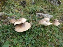 2025-10-14-SAC-RS-Furggenhoehle-140