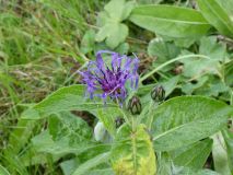 2025-10-14-SAC-RS-Furggenhoehle-141