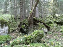 2025-10-14-SAC-RS-Furggenhoehle-143