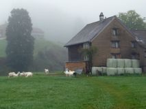 2025-09-23-SAC-Jakob-Scheidegg-03_bearbeitet-1