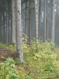 2025-09-23-SAC-Jakob-Scheidegg-09