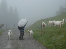 2025-09-23-SAC-Jakob-Scheidegg-16