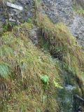2025-09-23-SAC-Jakob-Scheidegg-41_bearbeitet-1