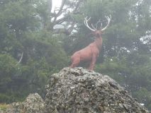 2025-09-23-SAC-Jakob-Scheidegg-57