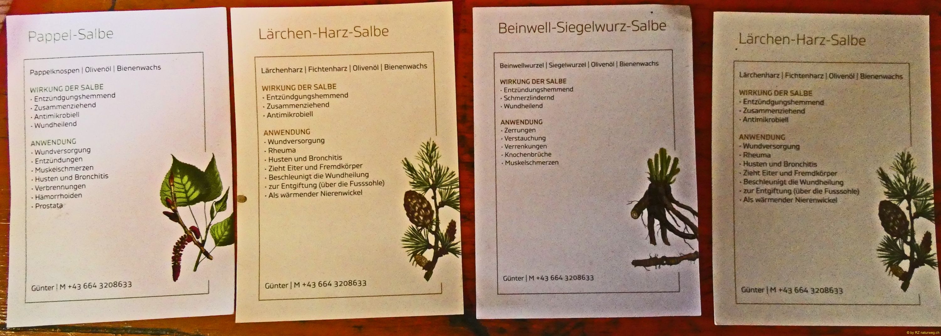 2025-08-12-SAC-RS-Alpspitz-FL-177_bearbeitet-1
