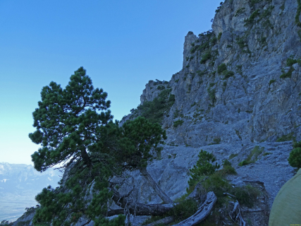 2025-08-12-SAC-RS-Alpspitz-FL-014_bearbeitet-1