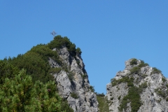 2025 SAC RS Alpspitz