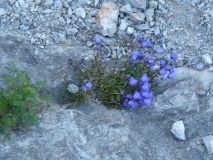 2025-08-12-SAC-RS-Alpspitz-FL-021