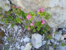 2025-08-12-SAC-RS-Alpspitz-FL-083