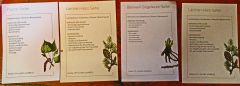 2025-08-12-SAC-RS-Alpspitz-FL-177_bearbeitet-1