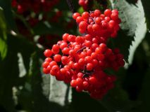 2025-08-12-SAC-RS-Alpspitz-FL-192