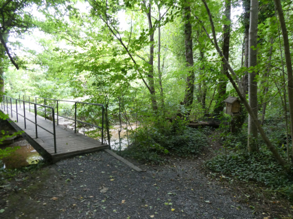 2025-09-02-SAC-RS-Alter-Rhein-12