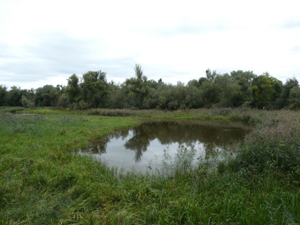 2025-09-02-SAC-RS-Alter-Rhein-30