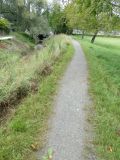 2025-09-02-SAC-RS-Alter-Rhein-09