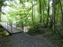 2025-09-02-SAC-RS-Alter-Rhein-12