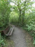 2025-09-02-SAC-RS-Alter-Rhein-19
