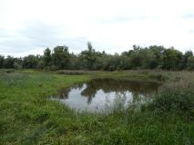 2025-09-02-SAC-RS-Alter-Rhein-30