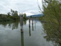 2025-09-02-SAC-RS-Alter-Rhein-44