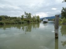 2025-09-02-SAC-RS-Alter-Rhein-46