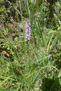 2025-06-24-SAC-RS-Sen-Batoeni-024