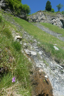 2025-06-24-SAC-RS-Sen-Batoeni-076
