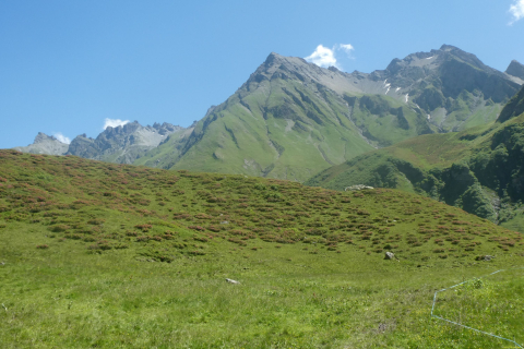 2025-06-24-SAC-RS-Sen-Batoeni-094