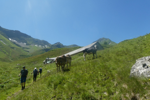 2025-06-24-SAC-RS-Sen-Batoeni-109
